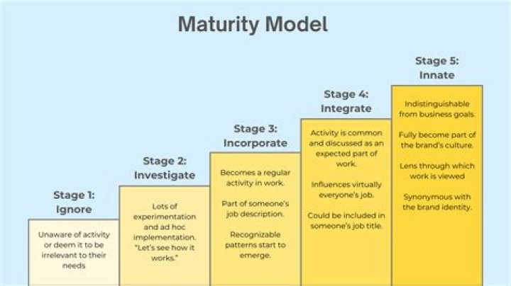 A Journey Of Maturity And Talent