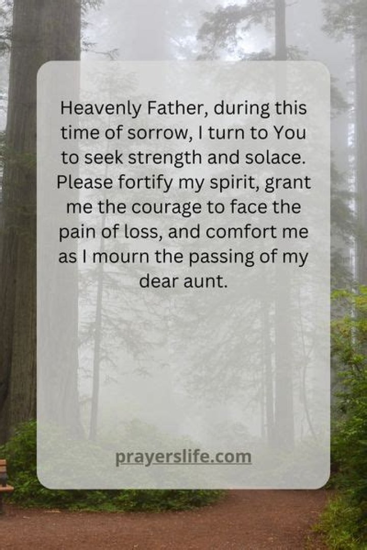 A Journey Of Remembrance And Solace For Your Departed Aunt