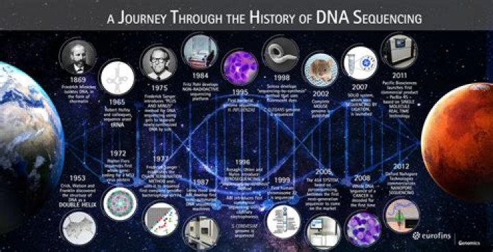 A Journey Through History And Transformation