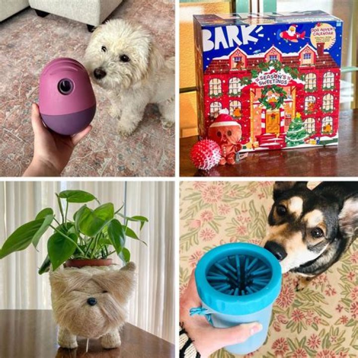 Discover Hilarious Gifts For Dog Lovers