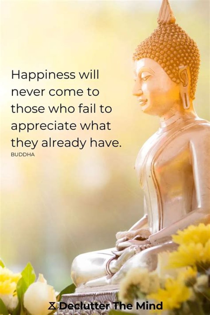 Discover Insights & Awaken Positivity