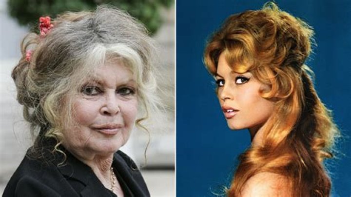 Discover The Secrets Of Brigitte Bardot's Timeless Beauty Without Makeup