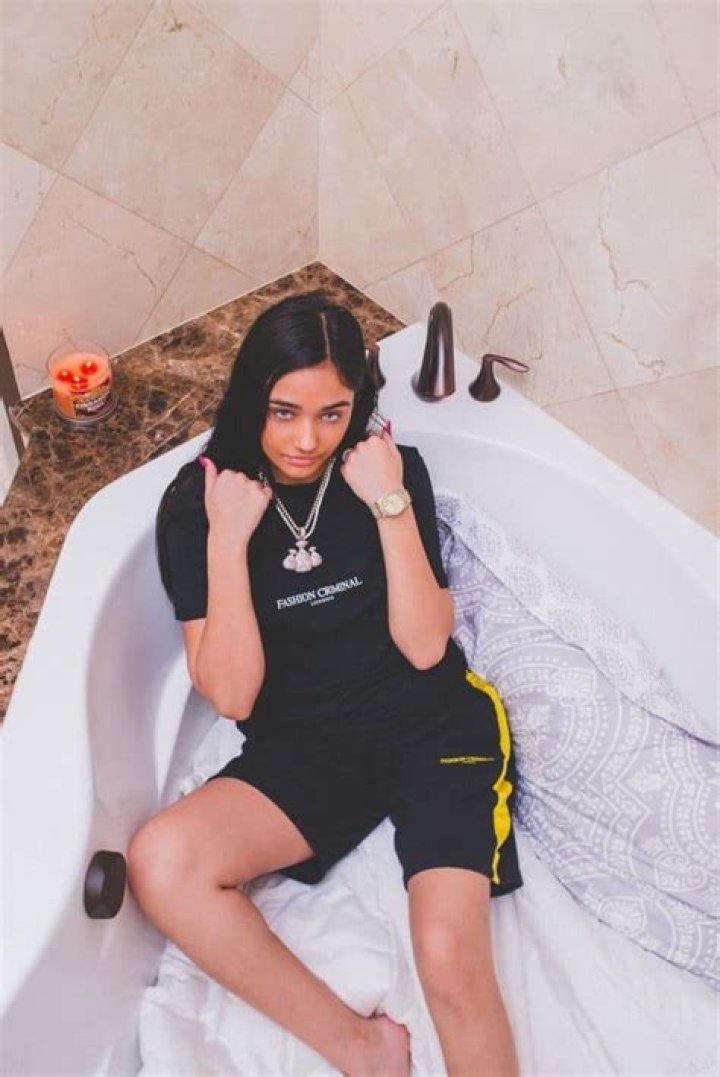 Explore The Mulan Vuitton Wiki