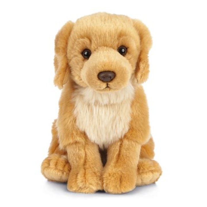 Exploring The World Of Golden Retriever Plushies