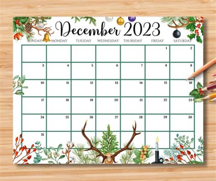 New Fiction Delights For December 2023