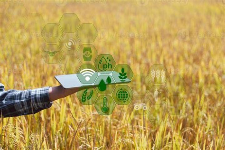 Unlocking A World Of Agricultural Communication