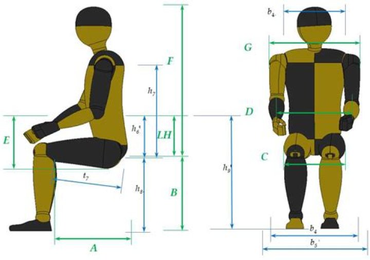 Unlocking Human Dimensions For Optimal Design