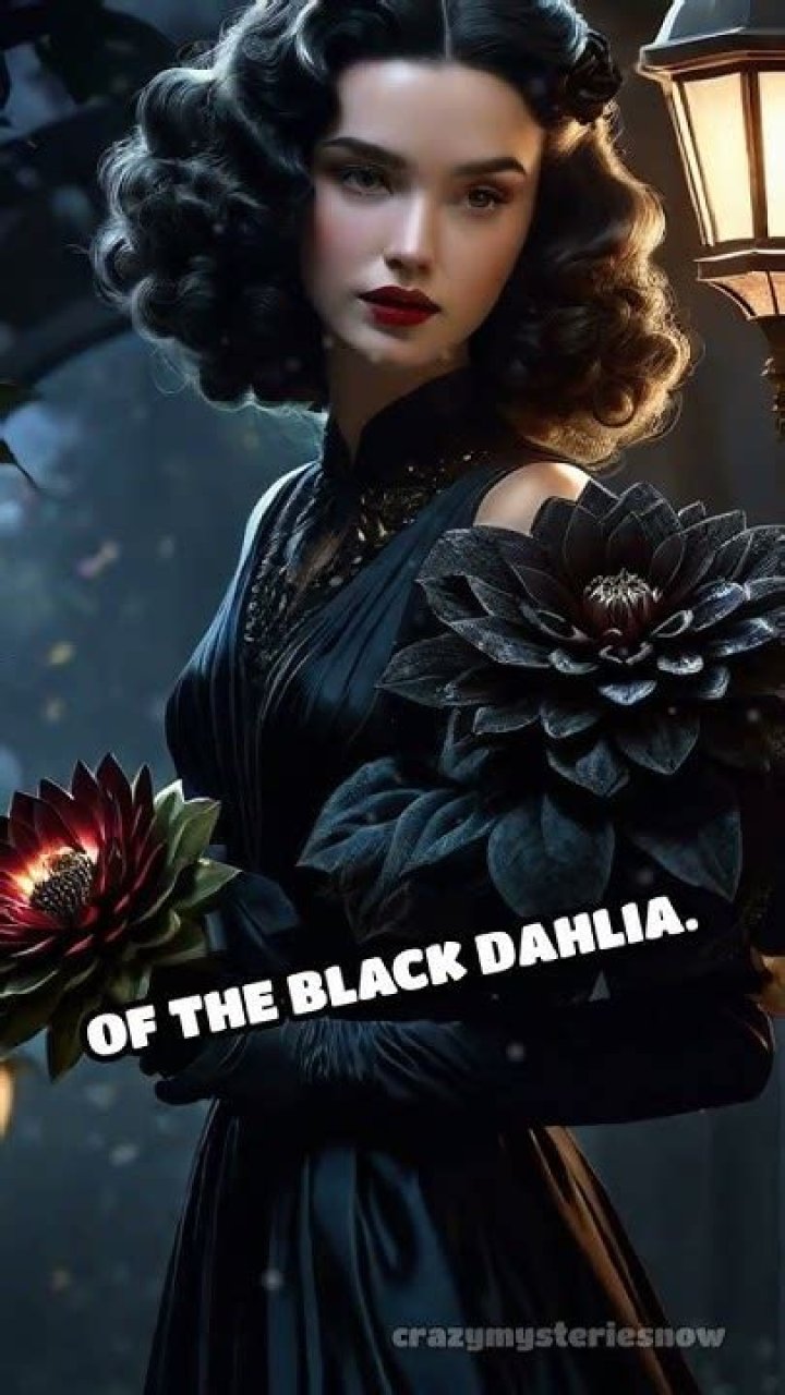 Unraveling The Black Dahlia Mystery