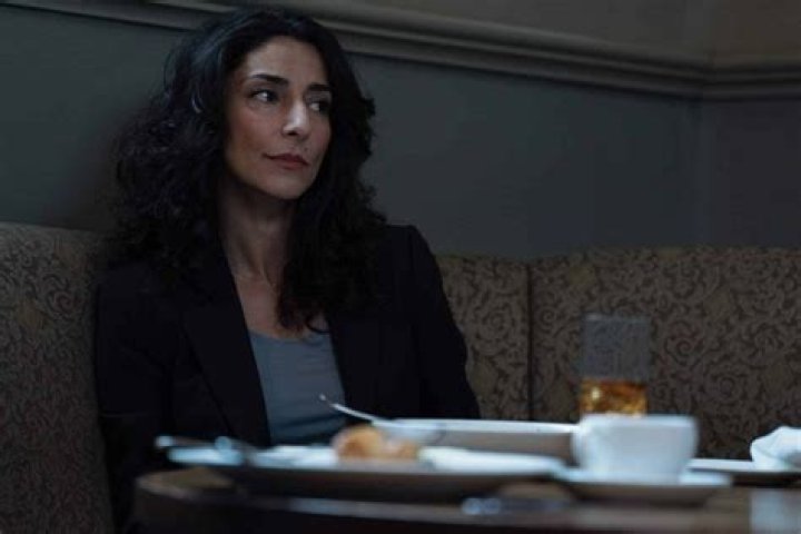 Unveiling Necar Zadegan's Net Worth: From Acting To Investments