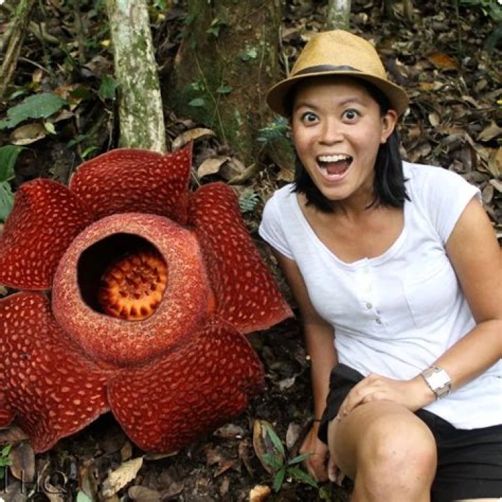Unveiling The Impactful World Of Lesia Winnicki: Discoveries And Insights