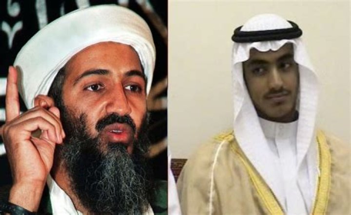 Unveiling The Influence Of DD Osama's Father: Discoveries And Insights