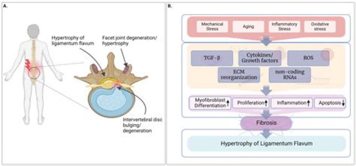 Unveiling Truths And Uncovering Insights